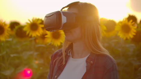 A-young-girl-inspects-a-field-with-sunflowers-in-virtual-reality-glasses.-She-uses-modern-technologies-in-summer-evening.